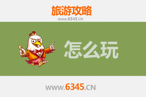 节假日高州深度游：荔枝之乡的文化与美食之旅
